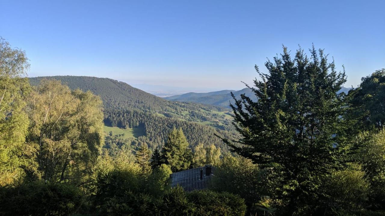Apigite68, Proche Route Des Vins, Vosges, Colmar Et Non Loin D'Europa-Park! Ostheim Zewnętrze zdjęcie